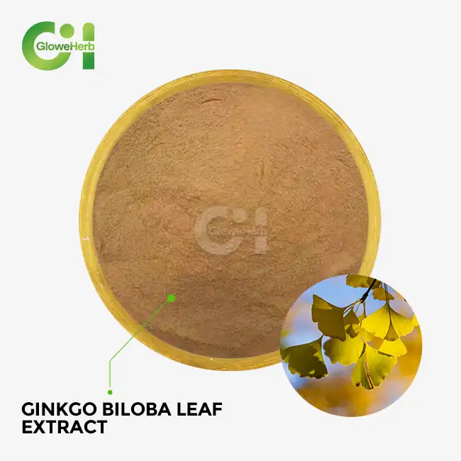 Ginkgo Biloba Leaf Extract